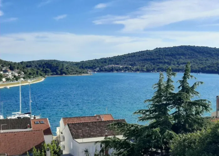 Cuzela-papata * 迪斯诺