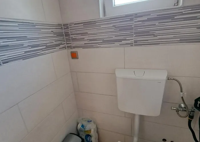 Cuzela-papata * 티스노