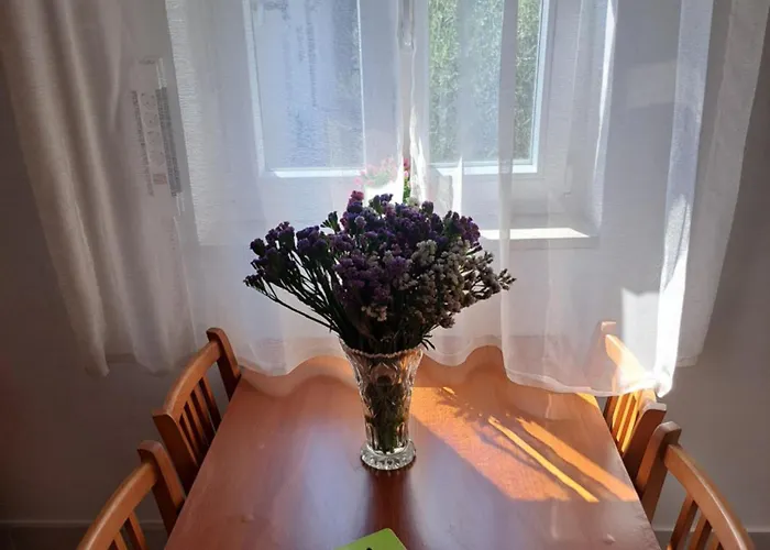 Cuzela-papata 迪斯诺