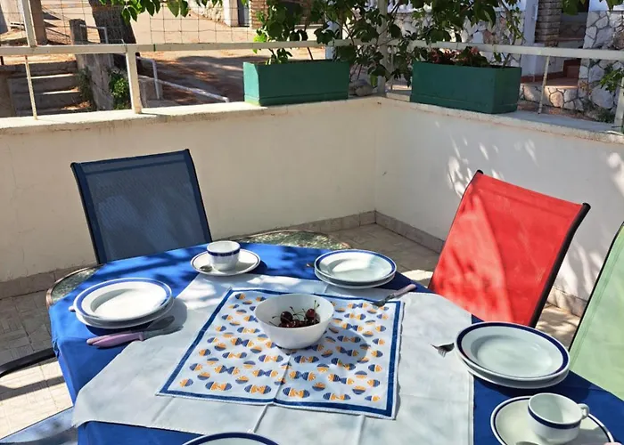 Cuzela-papata * 迪斯诺