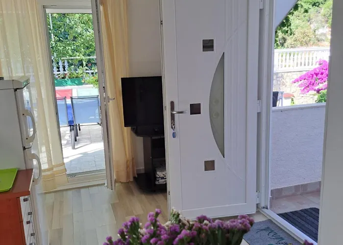 Cuzela-papata 迪斯诺