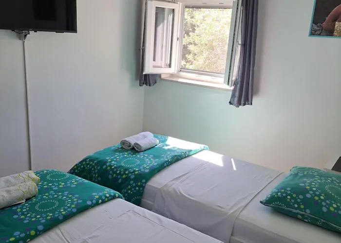 Cuzela-papata * 티스노