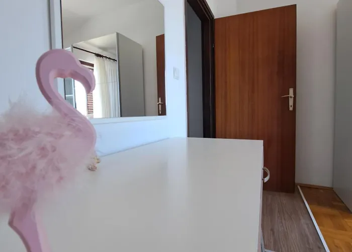 Cuzela-papata * 티스노