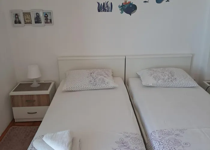 Cuzela-papata * 迪斯诺